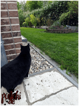 [Session-Life] „Picture my Day“ Day #2025 ~ April