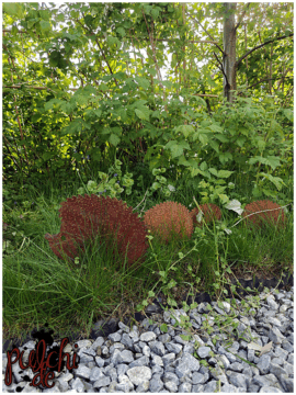 [Session-Life] „Picture my Day“ Day #2025 ~ April