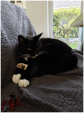 [Session-Life] „Picture my Day“ Day #2025 ~ April