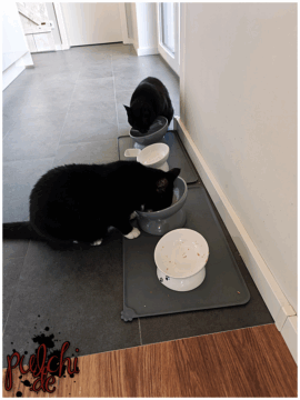 [Session-Life] „Picture my Day“ Day #2025 ~ April