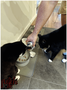 [Session-Life] „Picture my Day“ Day #2025 ~ April