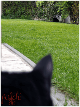 [Session-Life] „Picture my Day“ Day #2025 ~ April