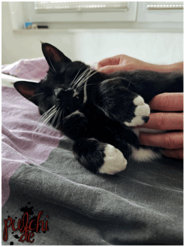 [Session-Life] „Picture my Day“ Day #2025 ~ April