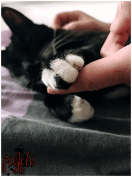 [Session-Life] „Picture my Day“ Day #2025 ~ April