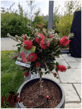 [Session-Life] „Picture my Day“ Day #2025 ~ April