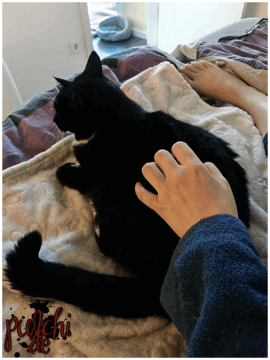 [Session-Life] „Picture my Day“ Day #2025 ~ April