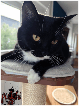 [Session-Life] „Picture my Day“ Day #2025 ~ April