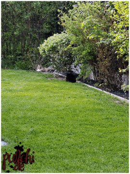 [Session-Life] „Picture my Day“ Day #2025 ~ April