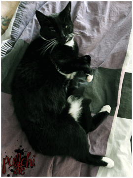 [Session-Life] „Picture my Day“ Day #2025 ~ April