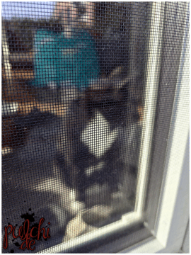 [Session-Life] „Picture my Day“ Day #2025 ~ April