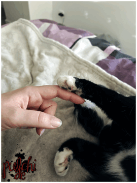 [Session-Life] „Picture my Day“ Day #2025 ~ April