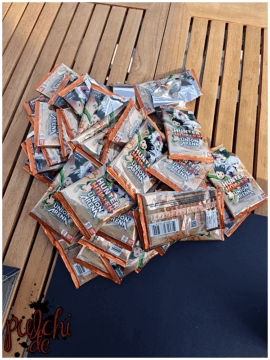 [Session-Life] „Picture my Day“ Day #2025 ~ April