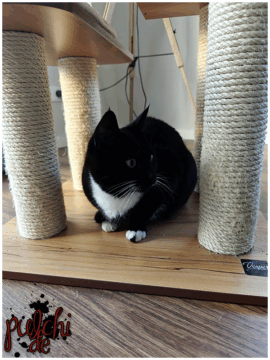 [Session-Life] „Picture my Day“ Day #2025 ~ April