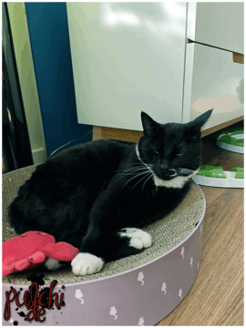 [Session-Life] „Picture my Day“ Day #2025 ~ April