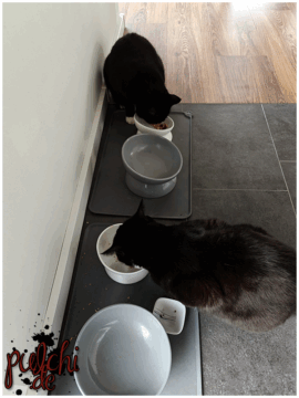 [Session-Life] „Picture my Day“ Day #2025 ~ April