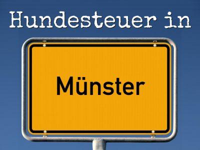 Hundesteuer Münster: Kosten, Anmelden, Befreiung