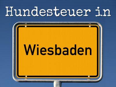 Hundesteuer Wiesbaden: Kosten, Anmelden, Befreiung