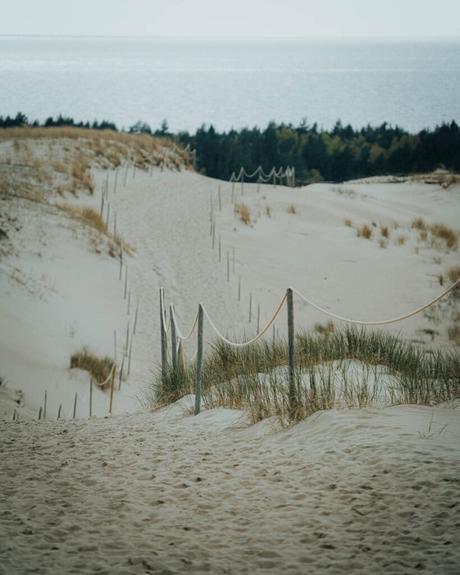 Ein mit Seilen gesäumter Sandweg schlängelt sich durch die Dünen zu einem entfernten Wald und Gewässer.