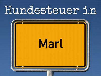 Hundesteuer Marl: Kosten, Anmelden, Befreiung