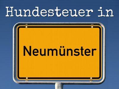 Hundesteuer Neumünster: Kosten, Anmelden, Befreiung
