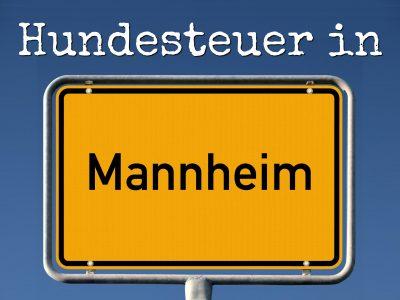 Hundesteuer Mannheim: Kosten, Anmelden, Befreiung