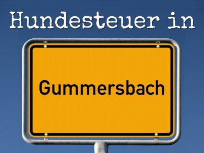 Hundesteuer Gummersbach: Kosten, Anmelden, Befreiung