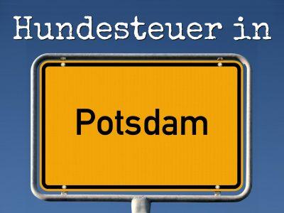 Hundesteuer Potsdam: Kosten, Anmelden, Befreiung