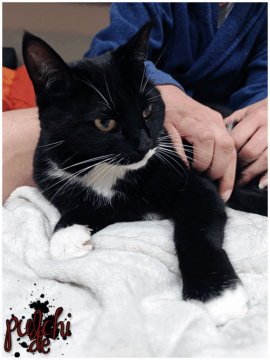 [Session-Life] „Picture my Day“ Day #2025 ~ Mai