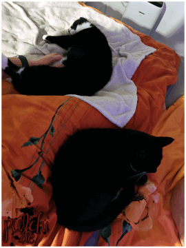 [Session-Life] „Picture my Day“ Day #2025 ~ Mai