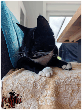 [Session-Life] „Picture my Day“ Day #2025 ~ Mai