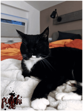 [Session-Life] „Picture my Day“ Day #2025 ~ Mai