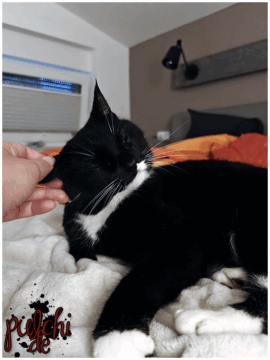 [Session-Life] „Picture my Day“ Day #2025 ~ Mai