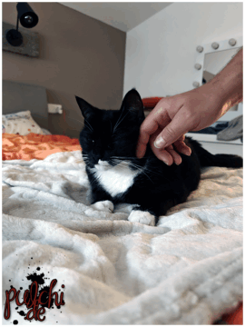 [Session-Life] „Picture my Day“ Day #2025 ~ Mai