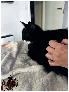 [Session-Life] „Picture my Day“ Day #2025 ~ Mai