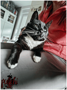 [Session-Life] „Picture my Day“ Day #2025 ~ Mai