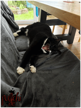 [Session-Life] „Picture my Day“ Day #2025 ~ Mai