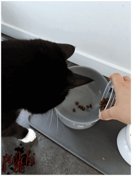 [Session-Life] „Picture my Day“ Day #2025 ~ Mai