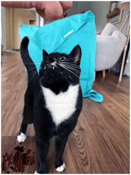 [Session-Life] „Picture my Day“ Day #2025 ~ Mai