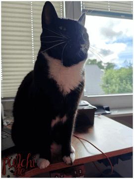 [Session-Life] „Picture my Day“ Day #2025 ~ Mai