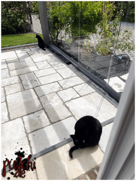 [Session-Life] „Picture my Day“ Day #2025 ~ Mai