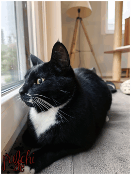 [Session-Life] „Picture my Day“ Day #2025 ~ Mai