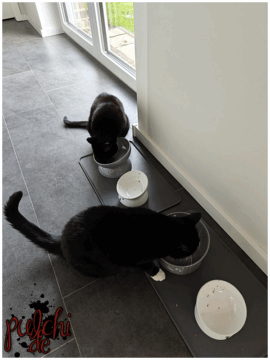 [Session-Life] „Picture my Day“ Day #2025 ~ Mai