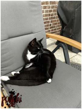 [Session-Life] „Picture my Day“ Day #2025 ~ Mai