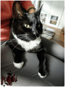 [Session-Life] „Picture my Day“ Day #2025 ~ Mai