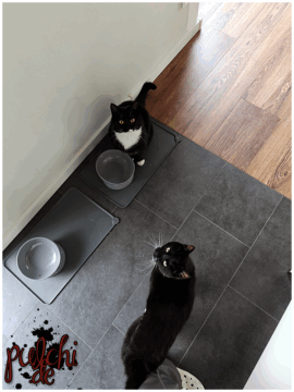 [Session-Life] „Picture my Day“ Day #2025 ~ Mai