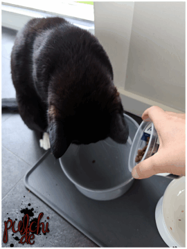 [Session-Life] „Picture my Day“ Day #2025 ~ Mai