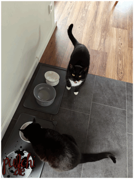 [Session-Life] „Picture my Day“ Day #2025 ~ Mai