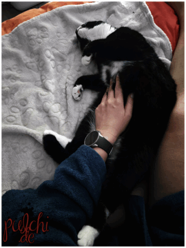 [Session-Life] „Picture my Day“ Day #2025 ~ Mai