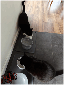 [Session-Life] „Picture my Day“ Day #2025 ~ Mai