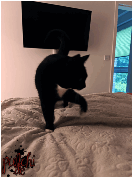 [Session-Life] „Picture my Day“ Day #2025 ~ Mai